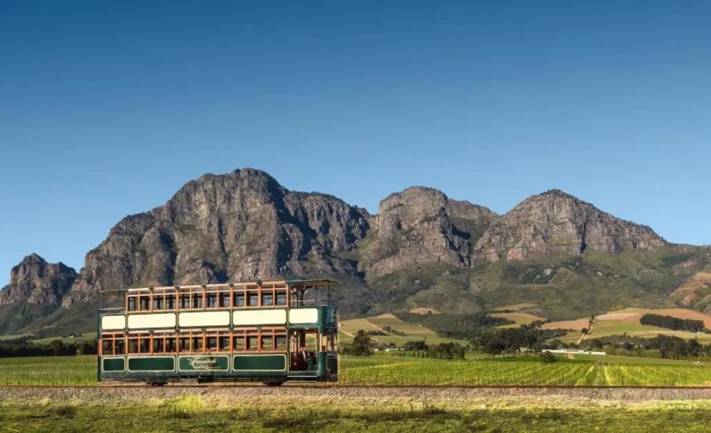 Cata de vinos en Franschhoek