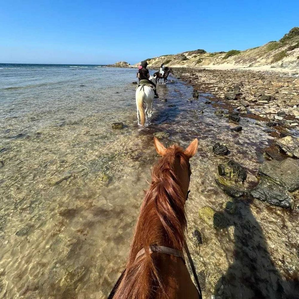 Paseo a caballo por las playas de Gansbaai